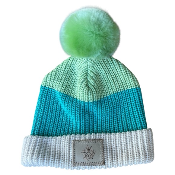 Disney Accessories - Disney X Love Your Melon Princess Tiana Pom Pom Beanie Knit Hat NWOT OS